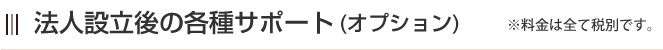 法人設立後の各種サポート（オプション）