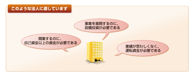 このような法人に適しています。「事業を展開するのに、設備投資が必要である」「開業するのに、自己資金以上の資金が必要である」「業績が思わしくなく、運転資金が必要である」